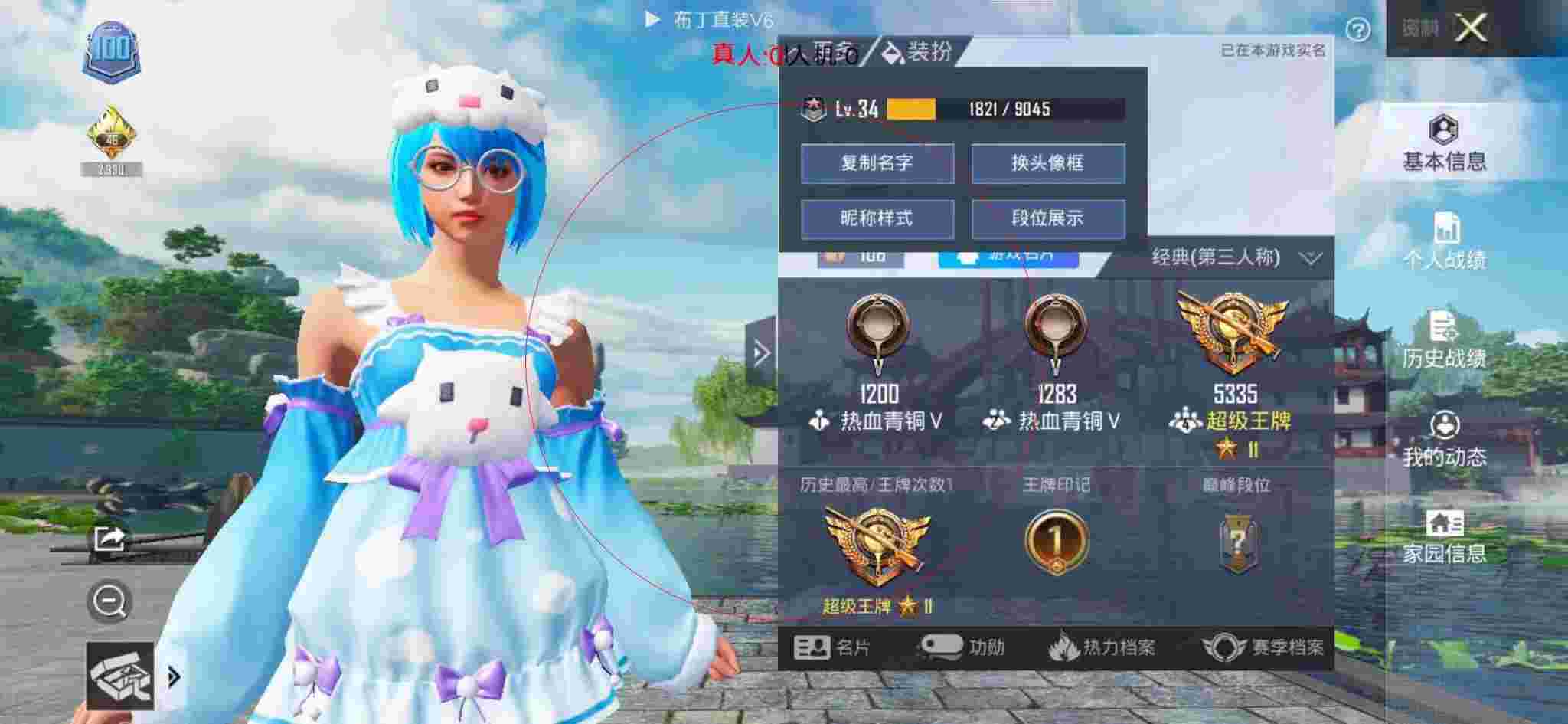 和平精英布丁直装透视 - 和平辅助卡纸制作图片辅助预览图